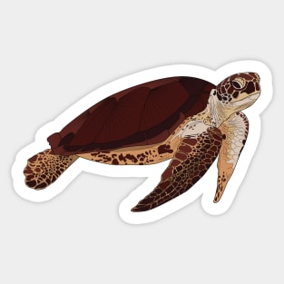 Sea Turtle Sticker